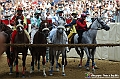 VBS_1125 - Palio di Asti 2024